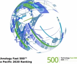 Eight SEA companies made Deloitte's APAC Technology Fast 500 index