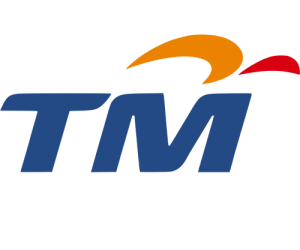 TMâ€™s Q1 revenues up 1.7%; Net and data now contribute 51% to total